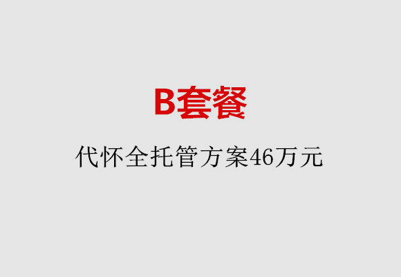 嘉兴B套餐：代怀全托管方案46万元