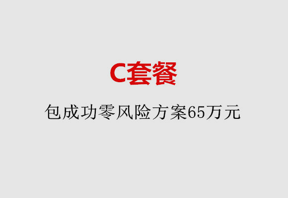 嘉兴C套餐：包成功零风险方案65万元